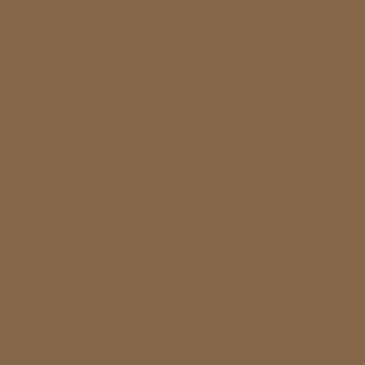 Vallejo - Marron sable - FS 30215 - Réf : 70876