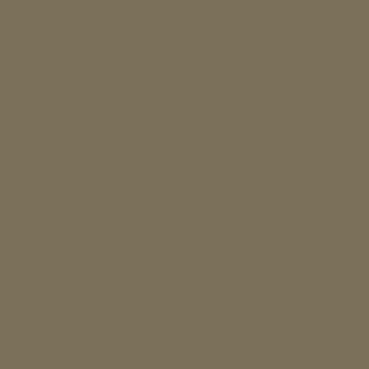 Vallejo - Gris Moyen- RAL 7002 - Medium Grey - Réf : 70987