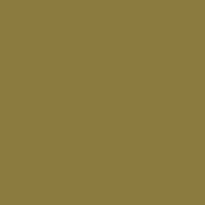 Vallejo - Jaune Camouflage - FS 33440 - RAL 1027 - Réf : 70978