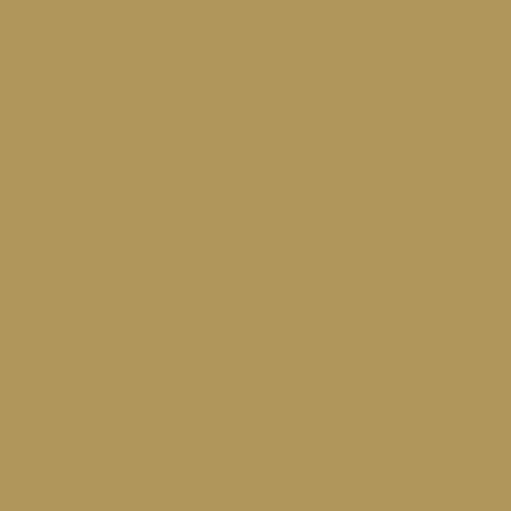 Vallejo - Jaune Kaki - FS 23578 - RAL 1001 - Réf : 70976