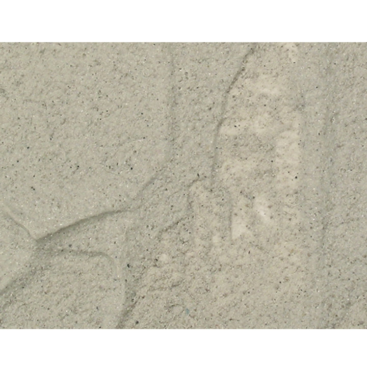 Prince August - Sable Gris - 26215