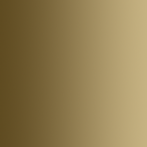 Xpress Color - Sac d'os - Bag of Bones