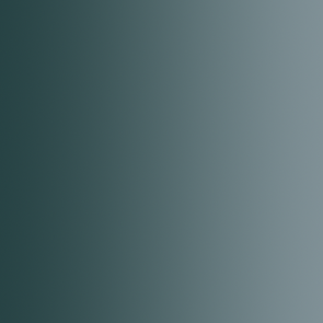 Xpress Color - Acier Stellaire - Starship Steel