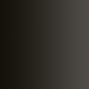 Xpress Color - Noir Graisseux - Greasy Black