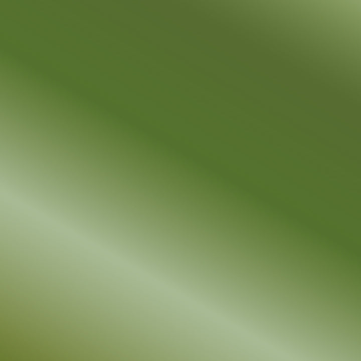 Vallejo - True Metallic Metal - Base - Vert ambre - Réf : 77135