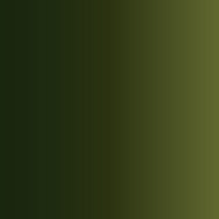 Vallejo - True Metallic Metal - Shade - Or vert - Réf : 77156