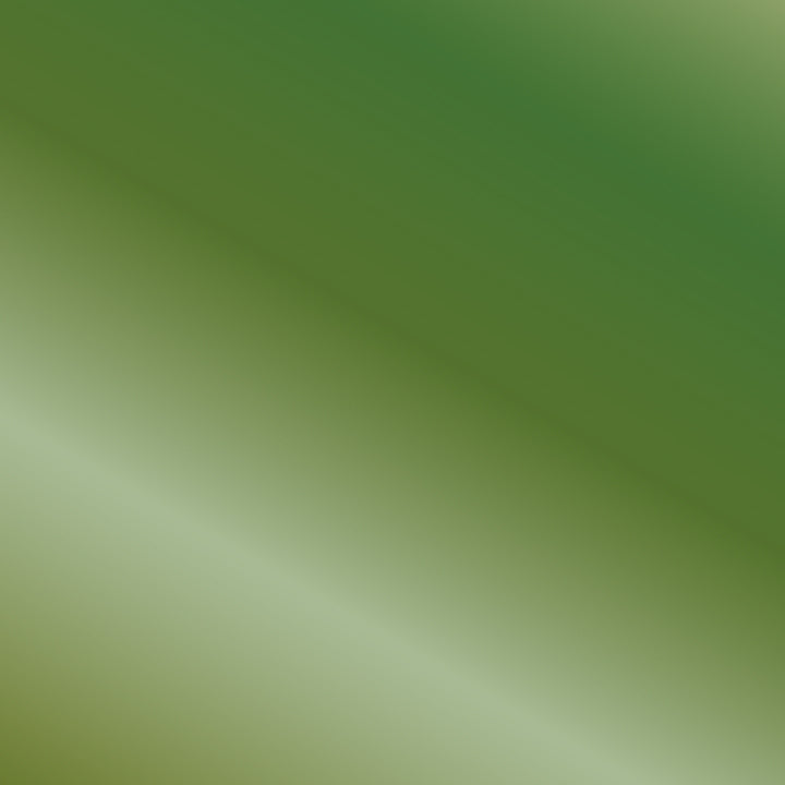 Vallejo - True Metallic Metal - Airbrush - Vert ambre - Réf : 77175