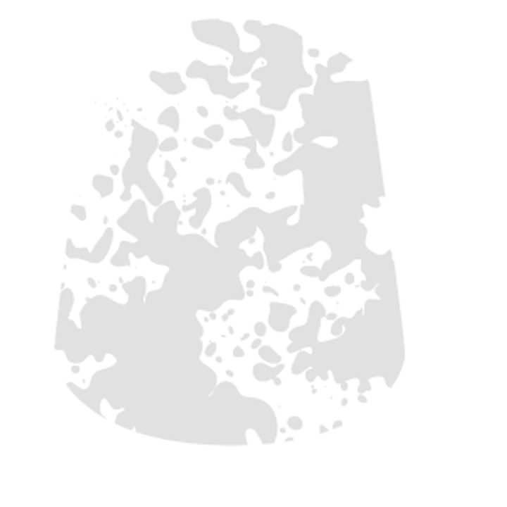 Technical : VALHALLAN BLIZZARD