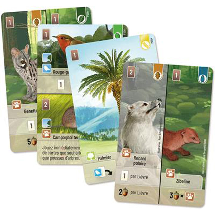 Foret Mixte : Exploration (Ext)