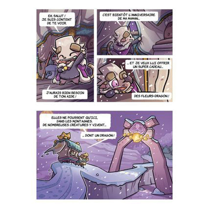 BD Héros - Chatons & dragons - Fleurs de dragons