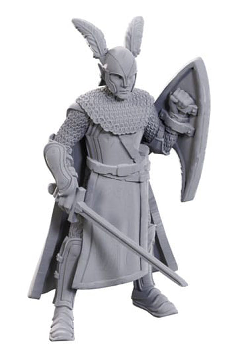 D&D Nolzur's - 50th anniversary - Elves