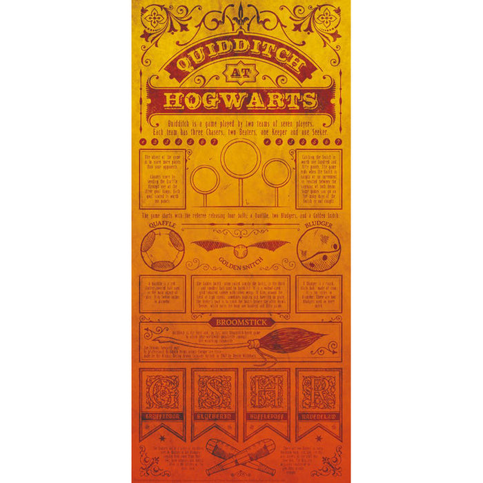 Lithographie Harry Potter Quiditch 42 x 19 cm