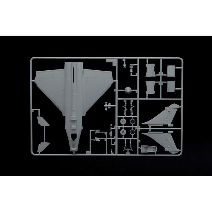 Maquette de Rafale M Opex 2011 au 1/72 Italeri Réf 1319