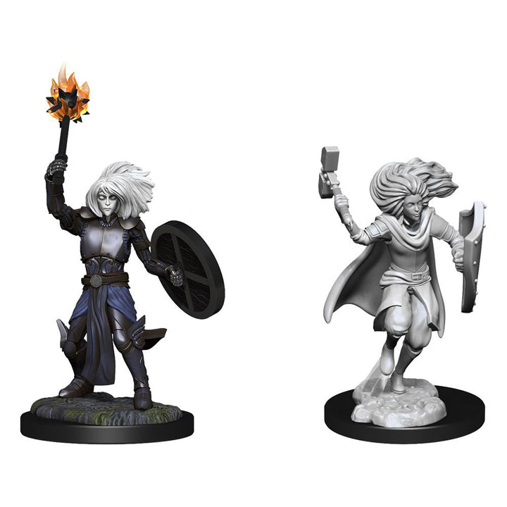 D&D Nolzur's Marvelous Miniatures - Changeling Cleric