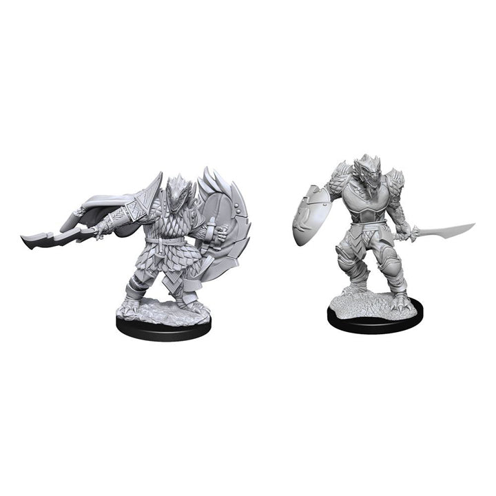 D&D Nolzur's Marvelous Miniatures - Dragon Born Fighter Male