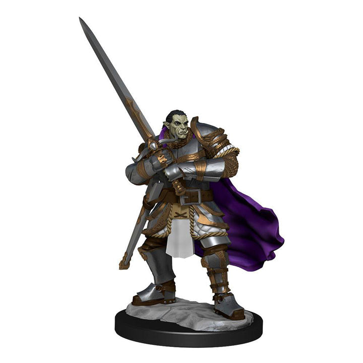 D&D Nolzur's Marvelous Miniatures - Half Orc Paladin Male