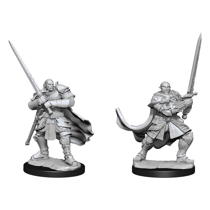 D&D Nolzur's Marvelous Miniatures - Half Orc Paladin Male