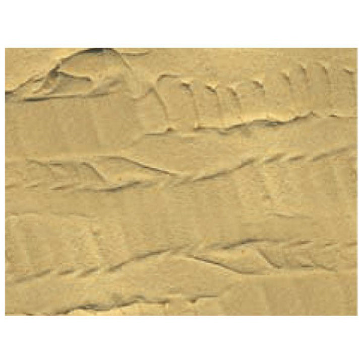 Prince August - Sable Desert - FX019